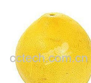 果蔬百科柚子-0