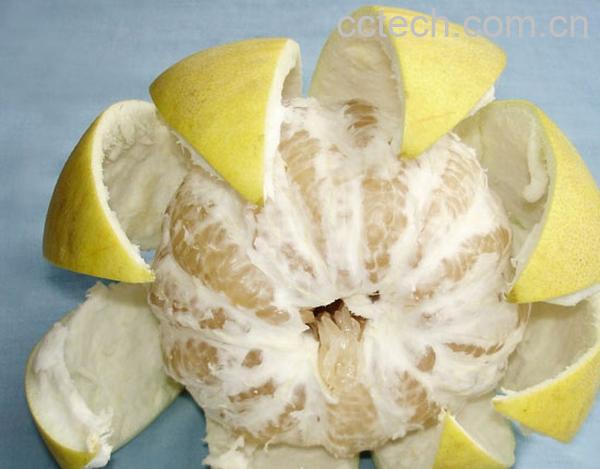 果蔬百科柚子-0