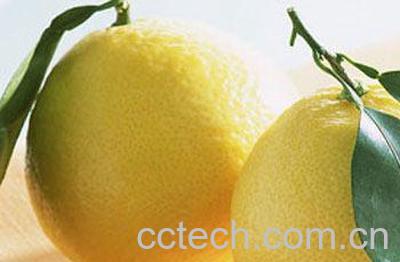 果蔬百科柚子-0