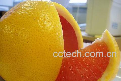 果蔬百科西柚-0
