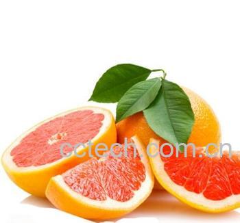 果蔬百科西柚-0