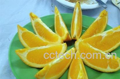 果蔬百科甜橙-0