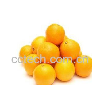 果蔬百科橘子-0