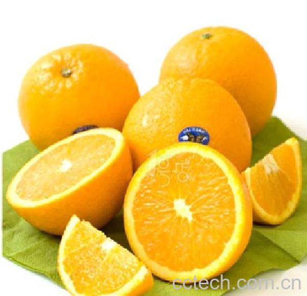 果蔬百科橙子-0