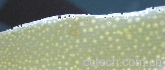 果蔬百科甜蜜柚子条-0