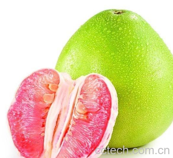 果蔬百科红心蜜柚-0