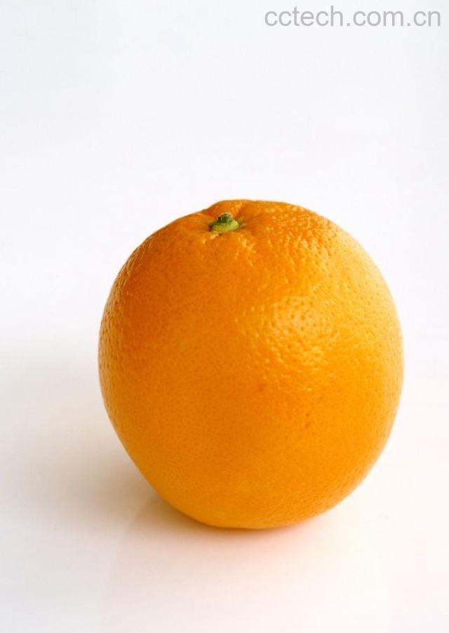 果蔬百科橙子-0