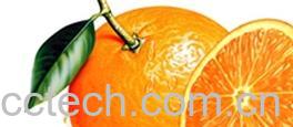果蔬百科橘子-0