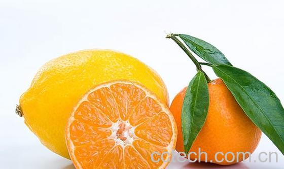 果蔬百科橙子-0