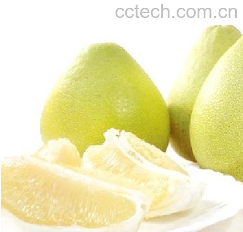 果蔬百科蜜柚-0