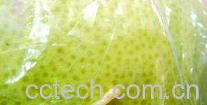 果蔬百科蜜柚皮-0