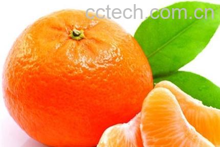 果蔬百科桔子-0