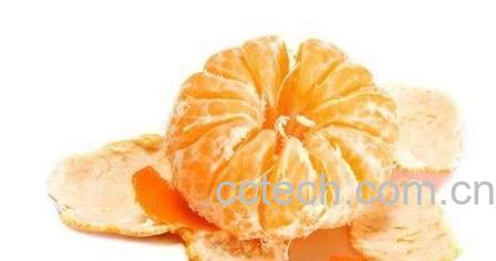 果蔬百科砂糖橘-0