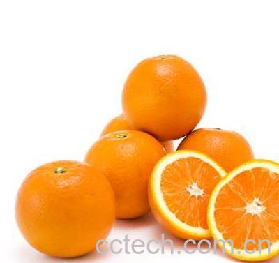果蔬百科脐橙-0