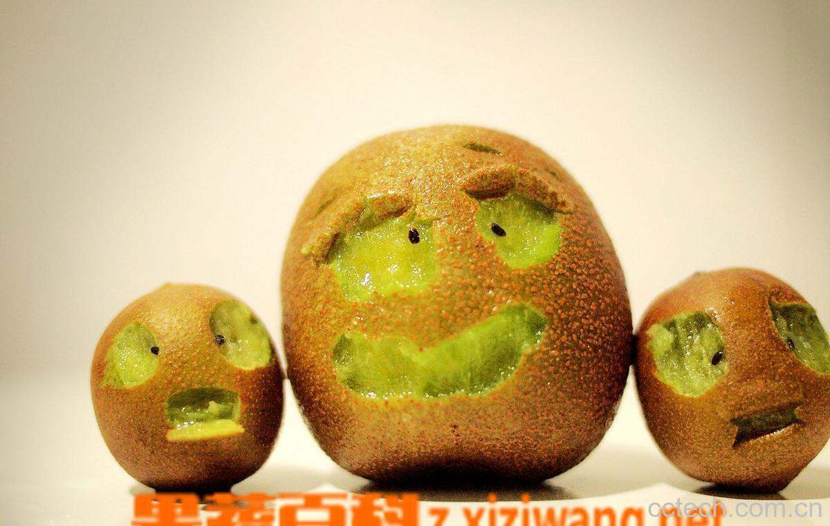 果蔬百科猕猴桃-0