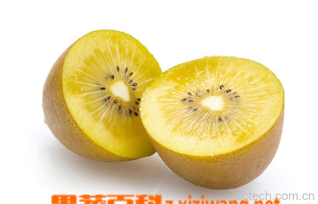 果蔬百科猕猴桃-0