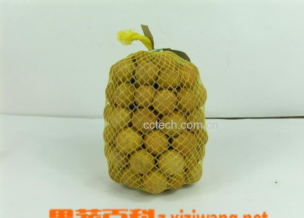 果蔬百科龙眼-0