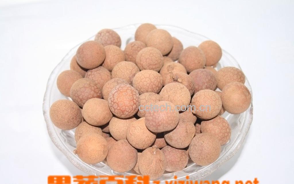 果蔬百科龙眼干-0