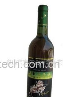 果蔬百科李子酒-0