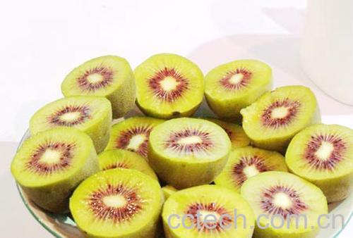 果蔬百科红心猕猴桃-0