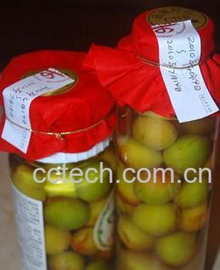 果蔬百科梅子酒-0