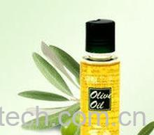 果蔬百科橄榄油-0