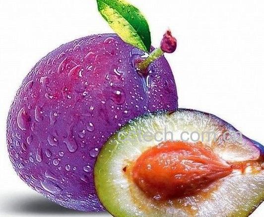 果蔬百科西梅-0