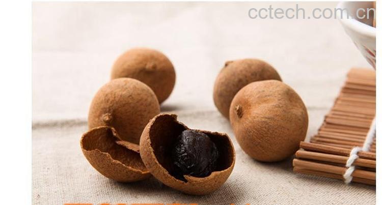 果蔬百科桂圆-0