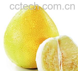 果蔬百科柚子-0