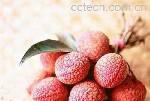 果蔬百科荔枝-0