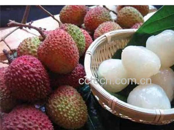 果蔬百科荔枝-0