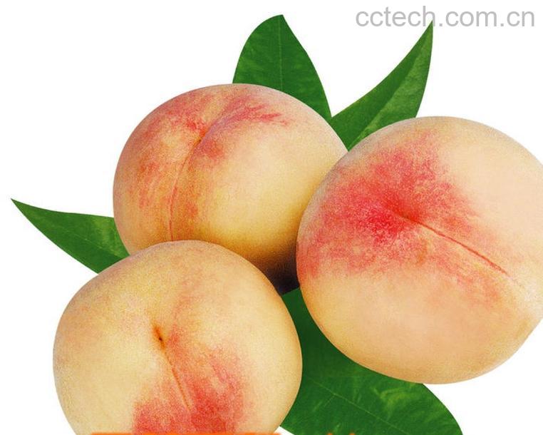 果蔬百科水蜜桃-0