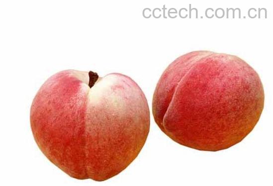 果蔬百科水蜜桃-0