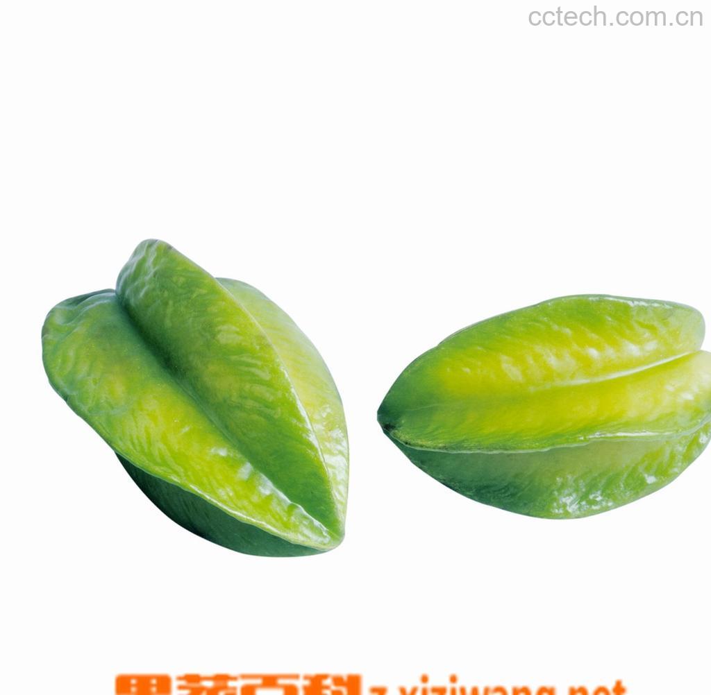 果蔬百科杨桃-0