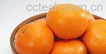果蔬百科桔子-0