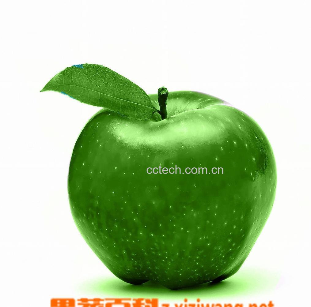 果蔬百科苹果-0