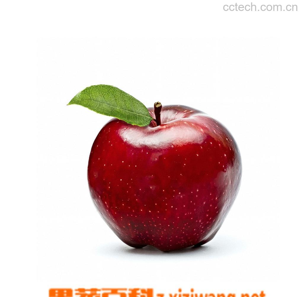 果蔬百科苹果-0