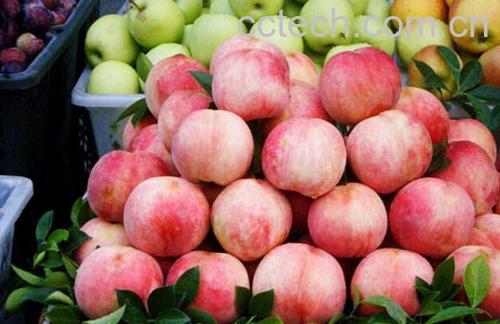 果蔬百科水蜜桃-0