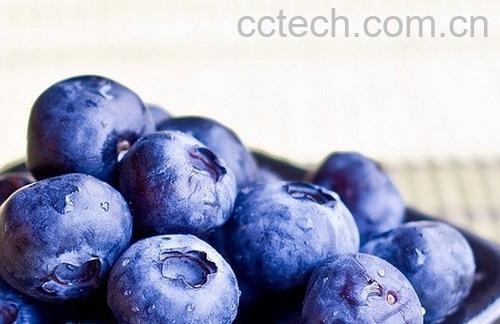 果蔬百科蓝莓-0