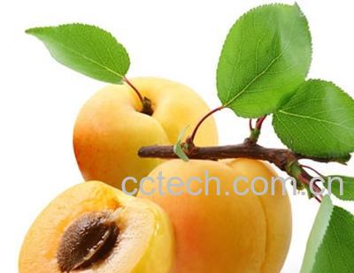 果蔬百科梅子-0