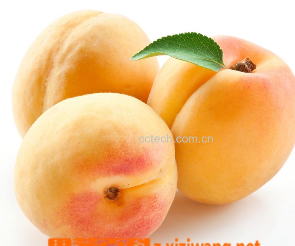 果蔬百科梅子-0