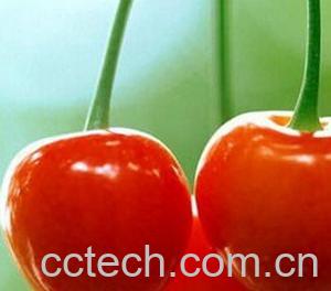 果蔬百科樱桃-0