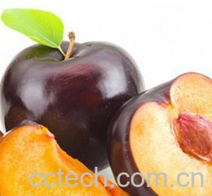 果蔬百科黑李子-0