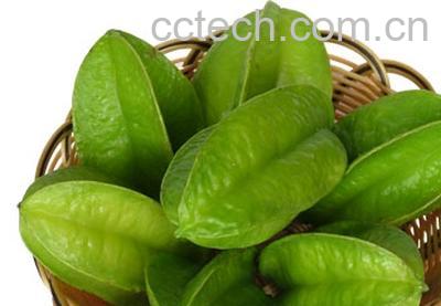 果蔬百科杨桃-0