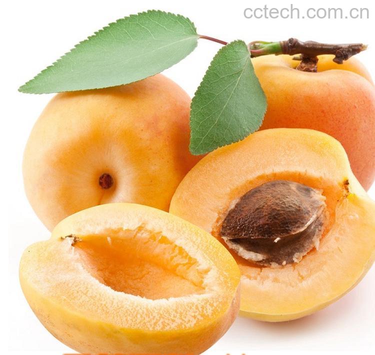 果蔬百科黄杏-0