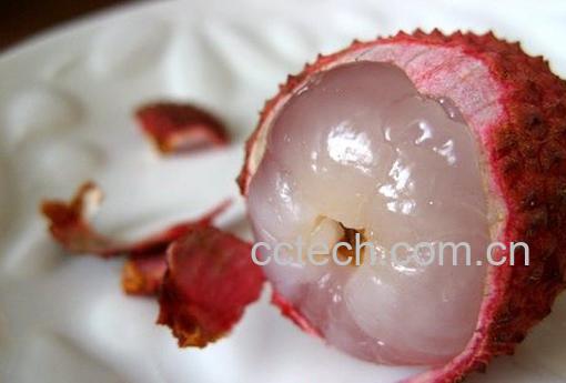 果蔬百科荔枝-0