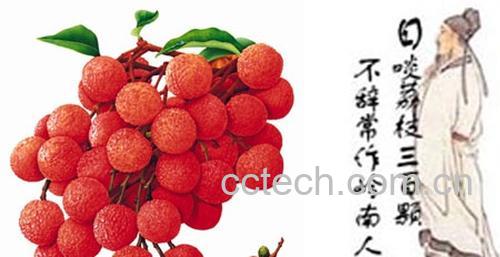 果蔬百科荔枝-0