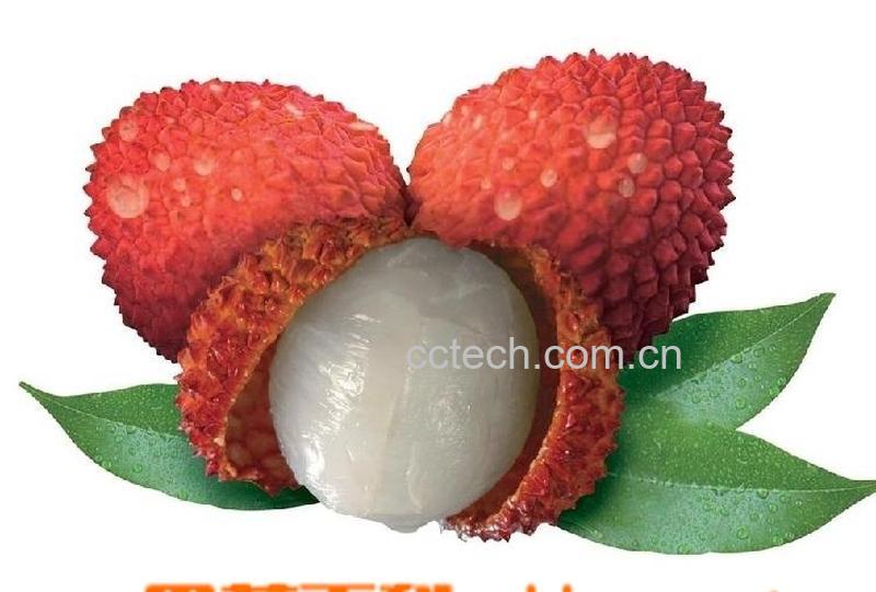 果蔬百科荔枝-0