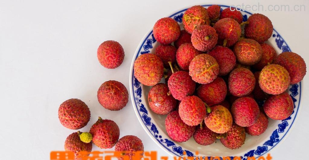 果蔬百科荔枝-0