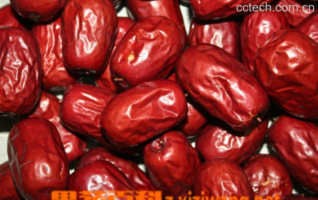 果蔬百科大枣-0